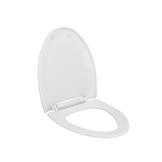 Premium Back-to-Wall Toilet